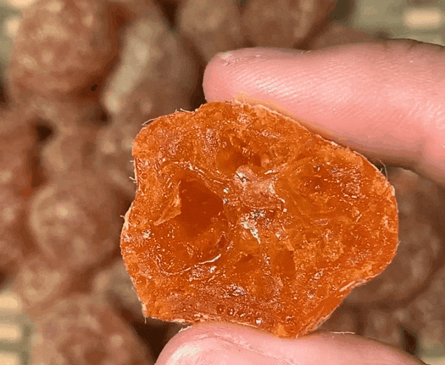 1776118479139909.gif 202601241654542832.gif